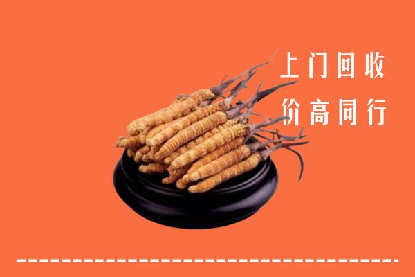 收购行情：桂东县回收散虫草
